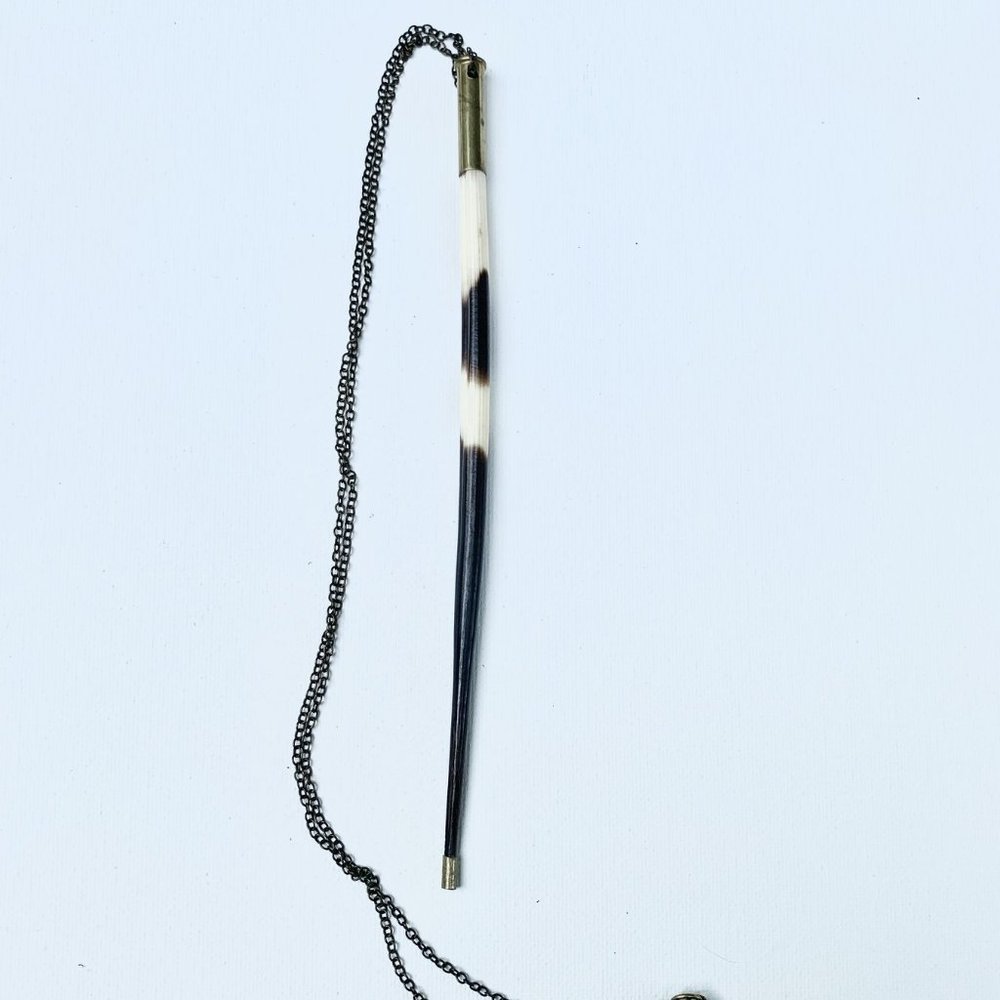 Porcupine Quill in bullet casing